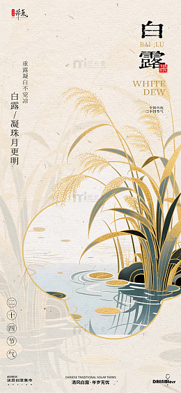 古风白露芦苇海报