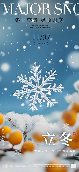 立冬节气雪花果实海报