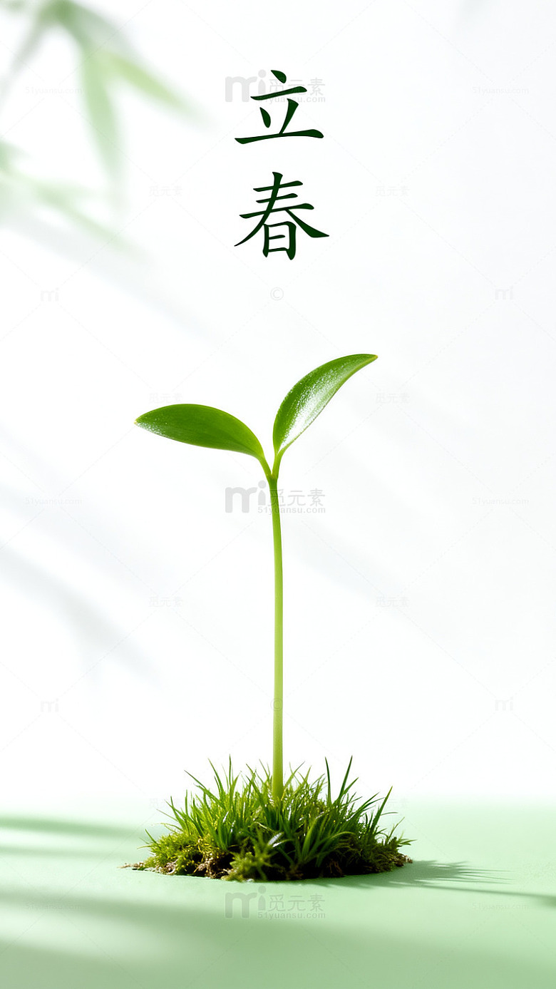 立春新芽自然摄影