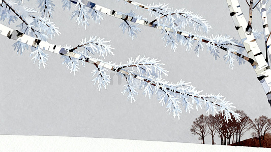 冬日白桦树枝雪景