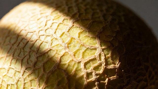 网纹瓜特写摄影图片