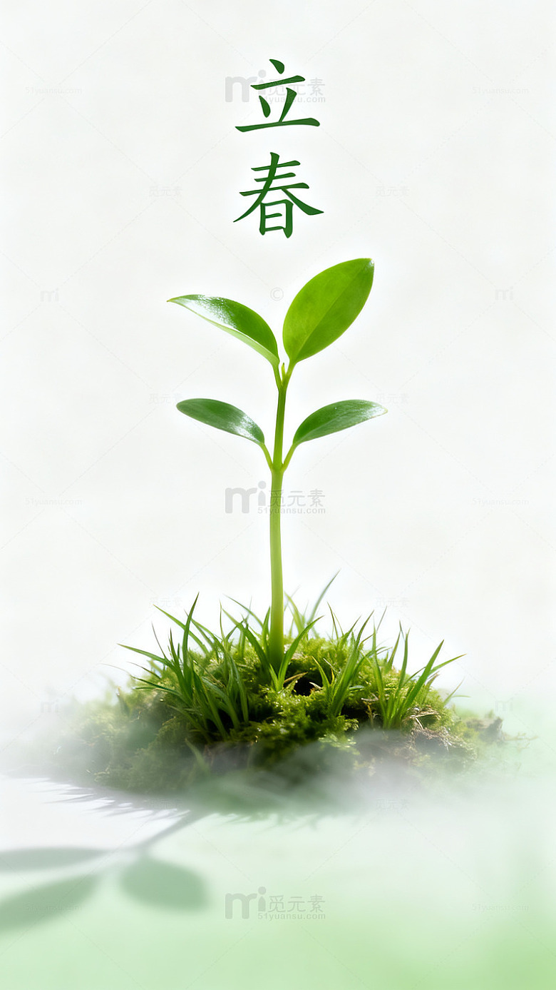 立春新生绿芽图片