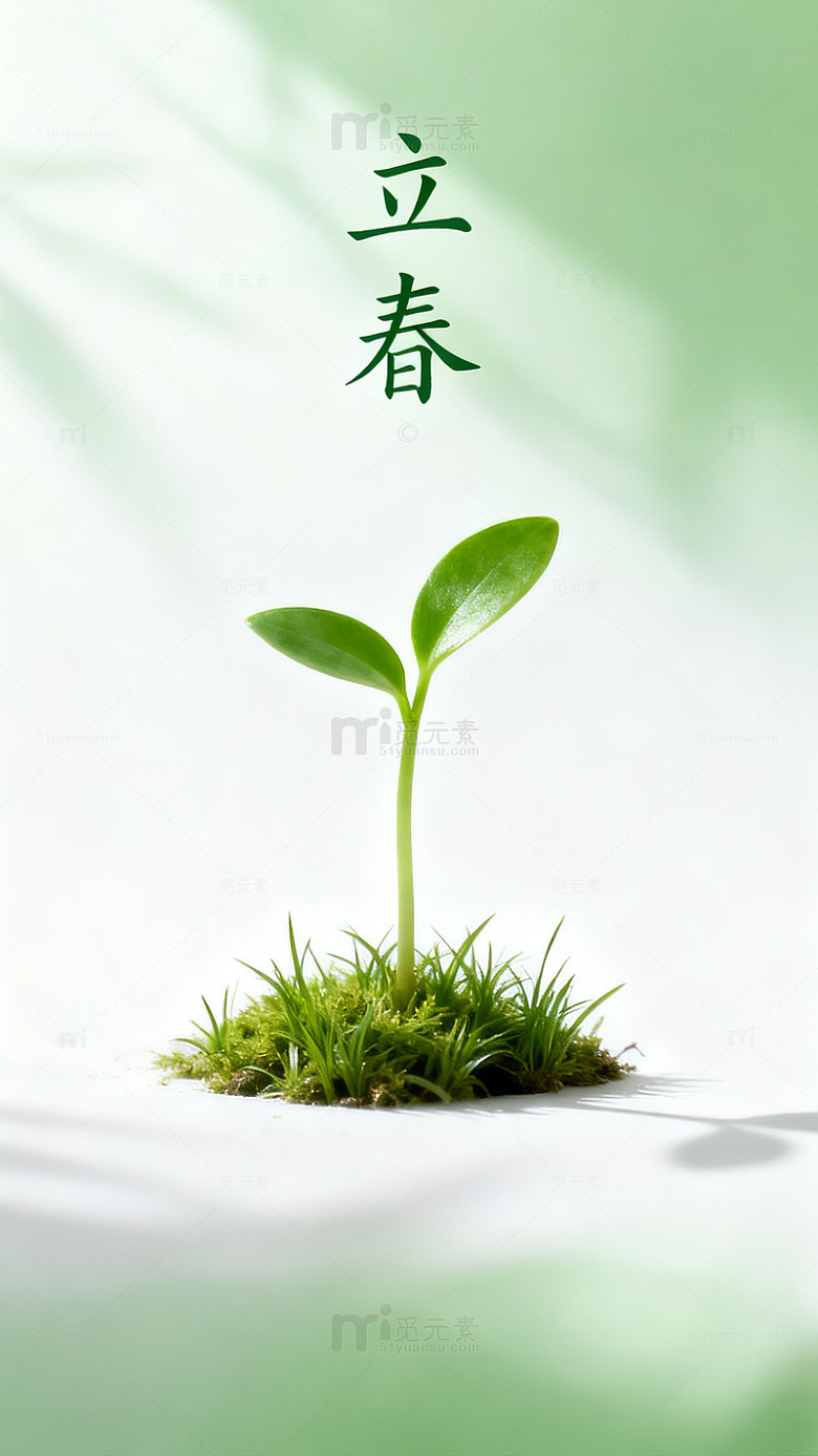 立春新生绿芽图片0