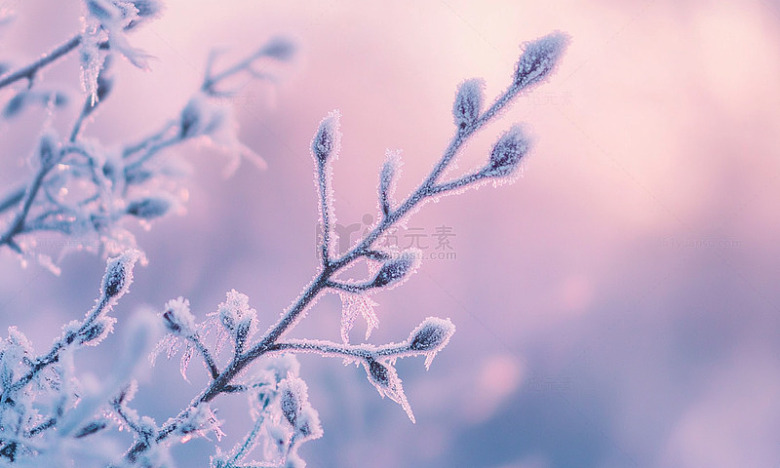 霜花冬景摄影