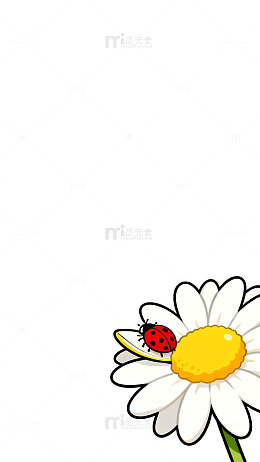 卡通雏菊瓢虫插画壁纸