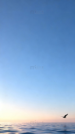 蓝天海鸟风景摄影