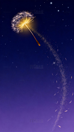 夜空蒲公英梦幻插画