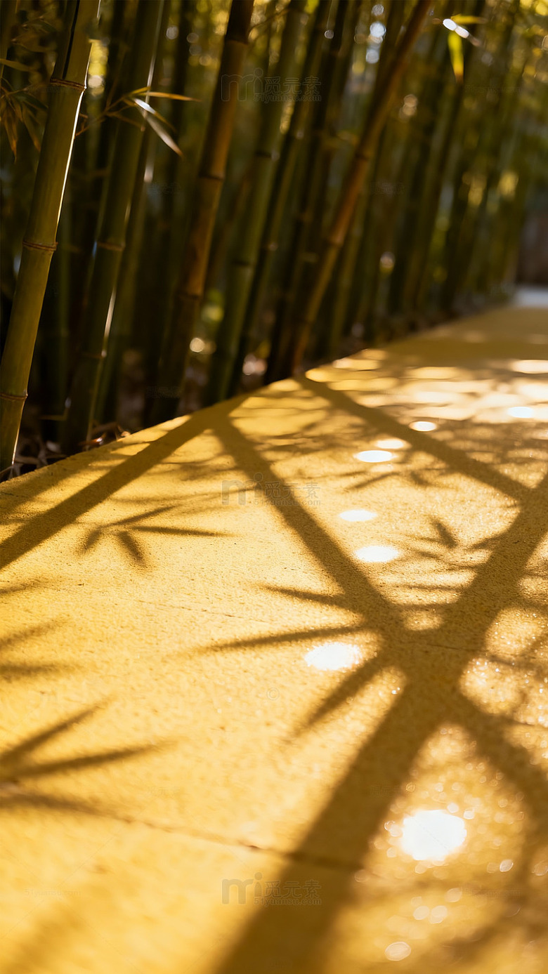 竹林光影小径风景摄影