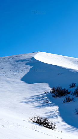 雪地山坡美景摄影