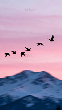 霞光飞鸟雪山景