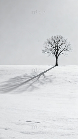 雪中孤树01