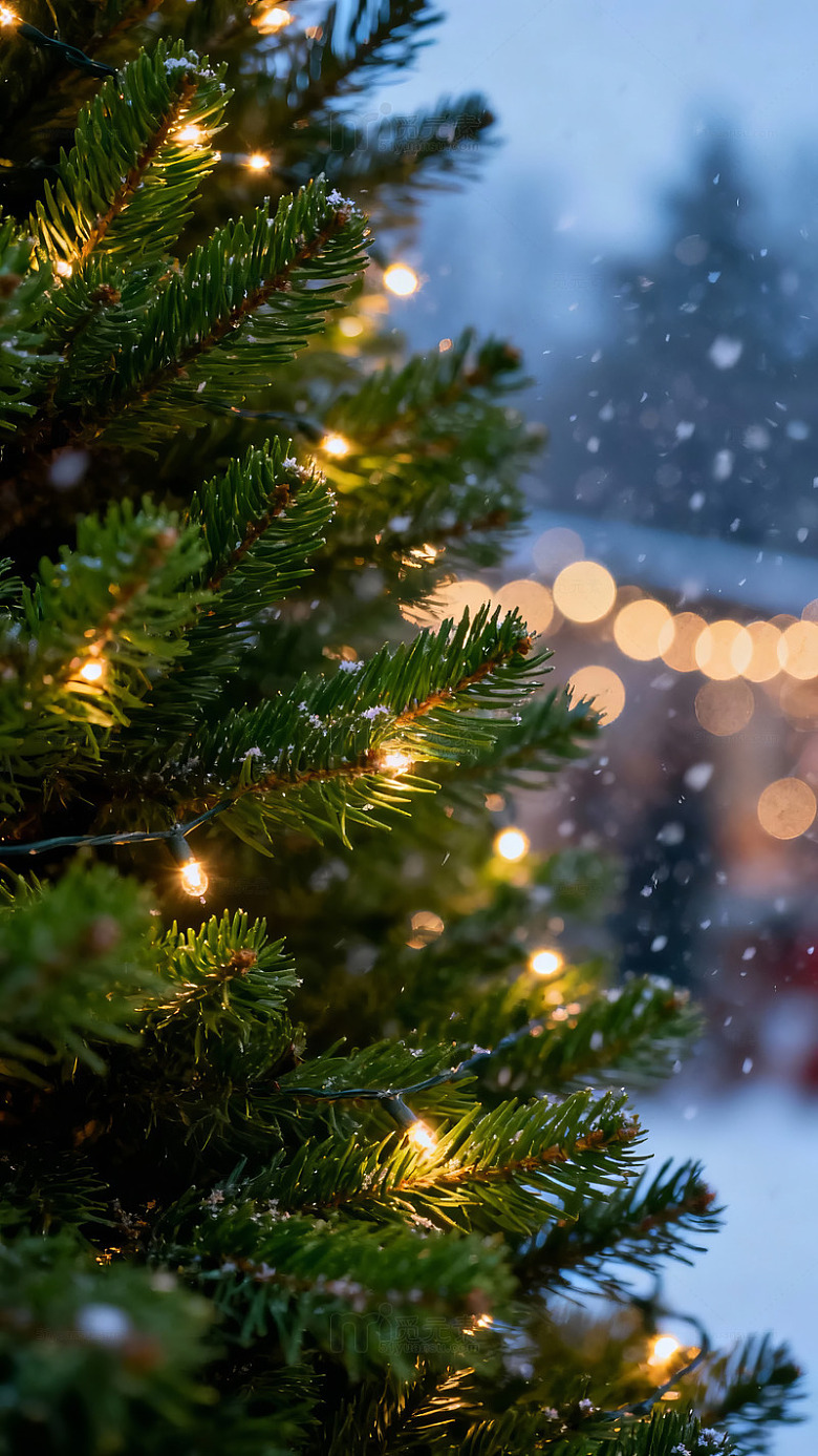 冬夜圣诞树灯光雪景