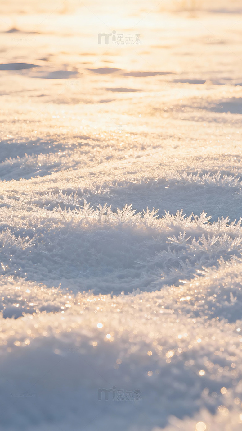 冰雪晨光霜花特写