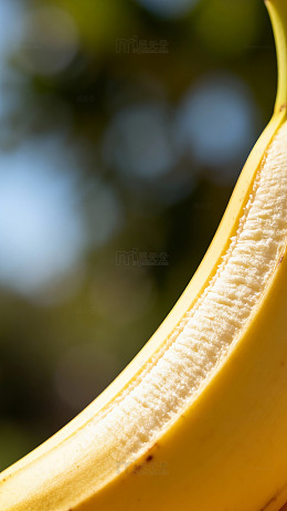 阳光下的香蕉特写