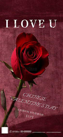 玫瑰情七夕节日贺卡