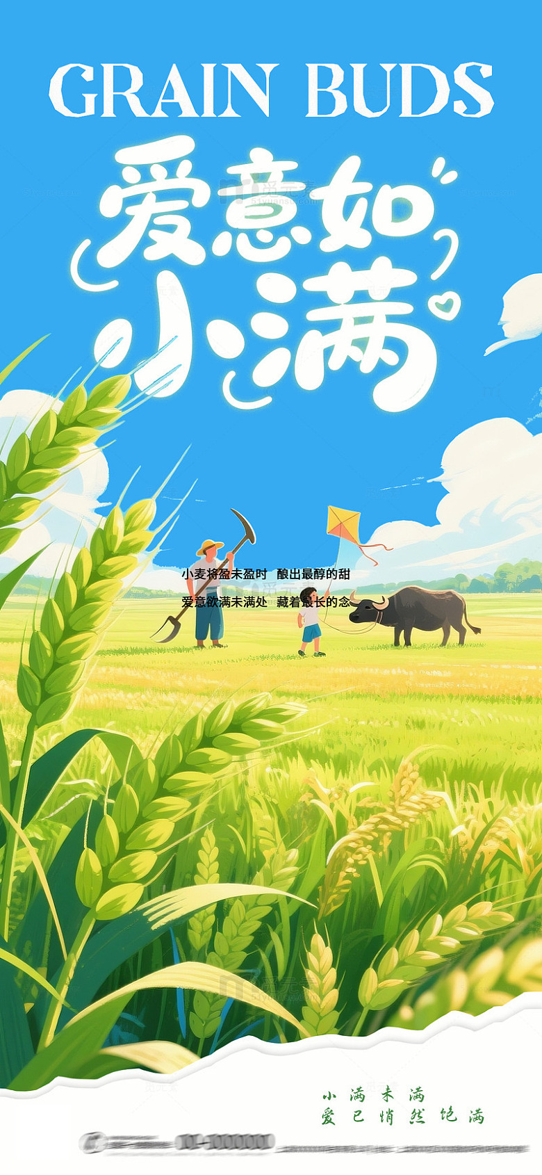 小满节气田园风光海报设计