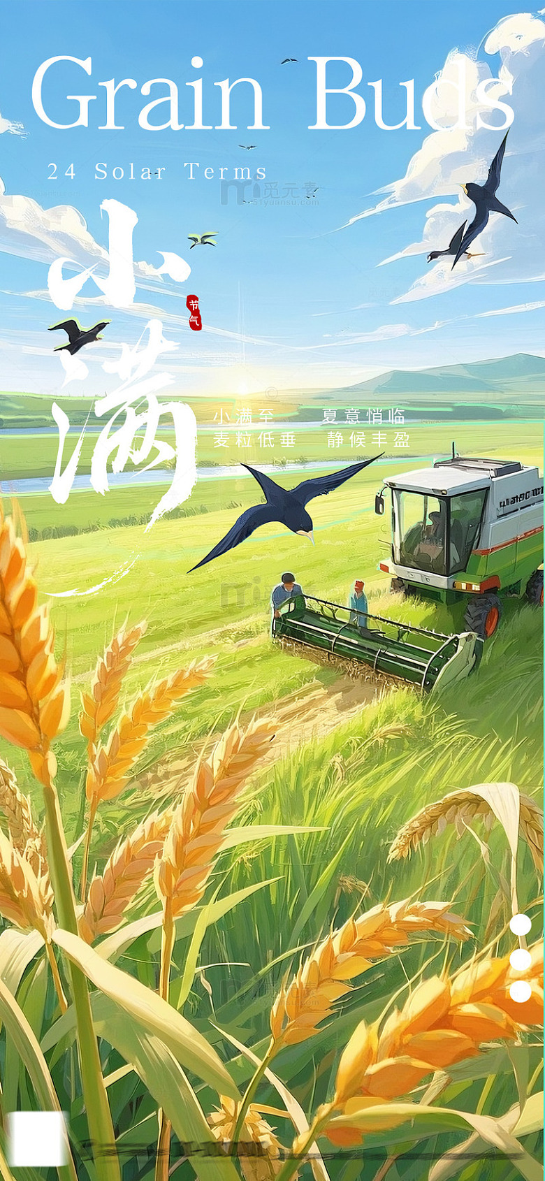 田园风小满收割插画