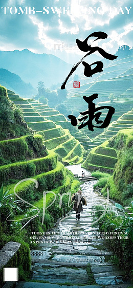 谷雨梯田风景宣传海报