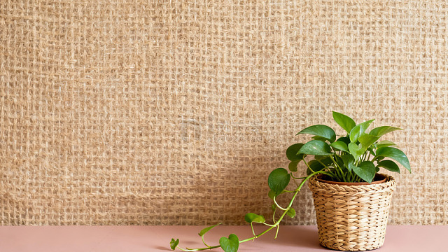麻布背景绿植盆栽静物摄影