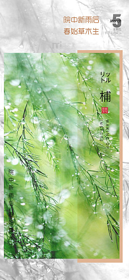 春雨润新绿草木生机勃发