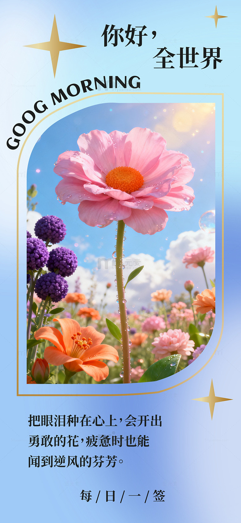 早安花卉励志语录海报日签问候图