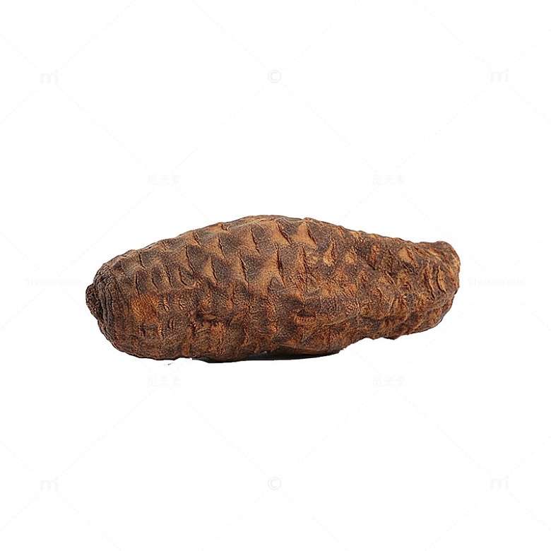 素材肉苁蓉广告