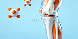 膝关节解剖模型与分子结构图