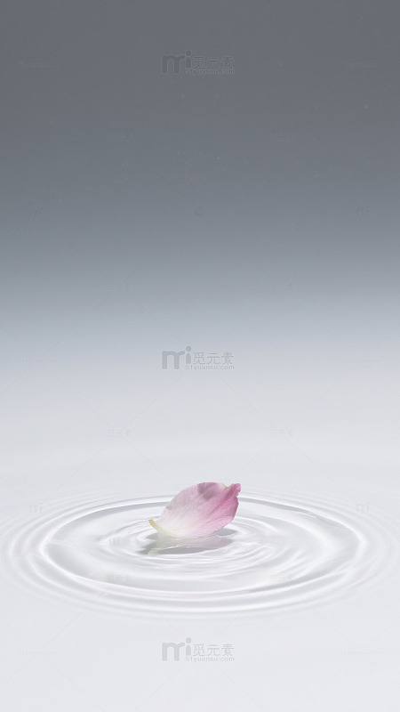 花瓣落水涟漪艺术摄影