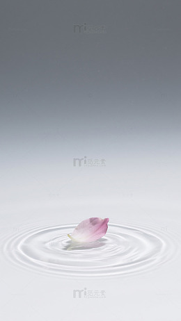 花瓣落水涟漪艺术摄影