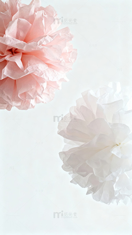 粉色与白色纸花静置于纯白背景