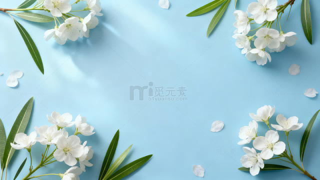 蓝色背景上的白色花朵与绿叶