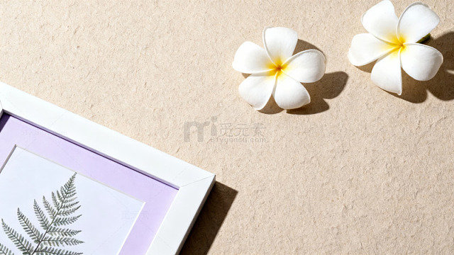 白花与画框的静物构图