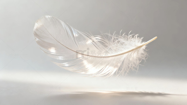 白色羽毛轻盈悬浮于光影间