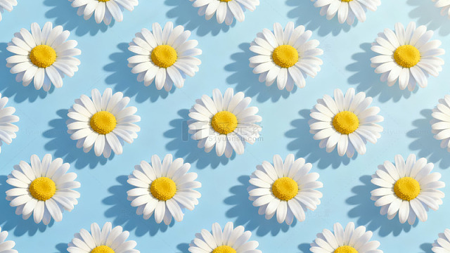蓝色背景上的雏菊图案