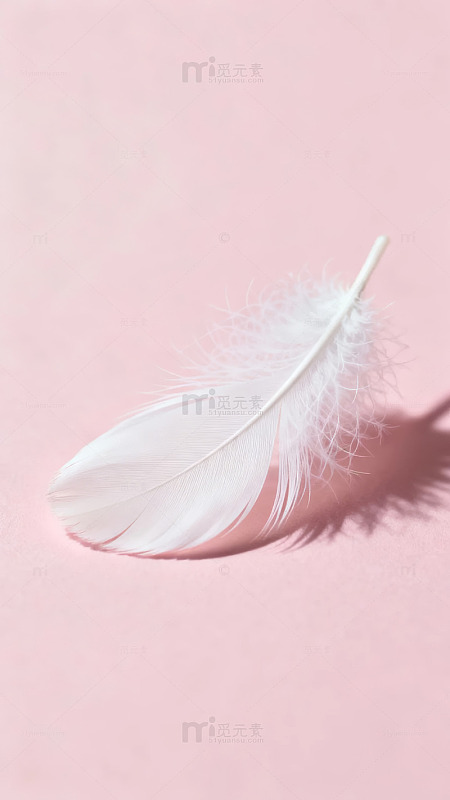 白色羽毛静置于粉色背景上光影效果