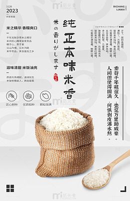 简约风大米广告设计模板