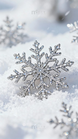 银色雪花点缀雪地图片