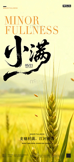 小满时节麦田风景海报