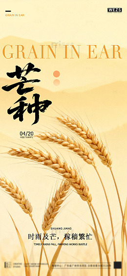 麦穗芒种节气海报设计