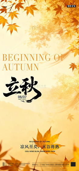 立秋秋意浓枫叶背景海报
