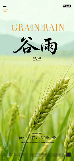 谷雨节气农田风光海报