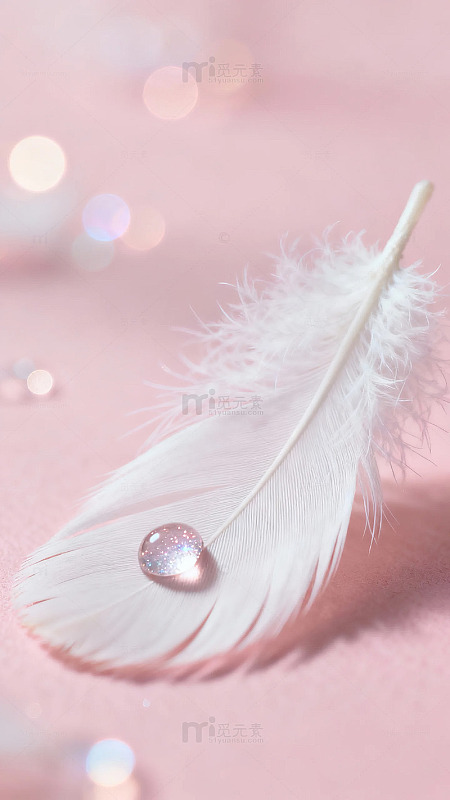 粉色背景上白色羽毛上的水滴特写