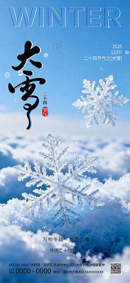 大雪传统节日海报