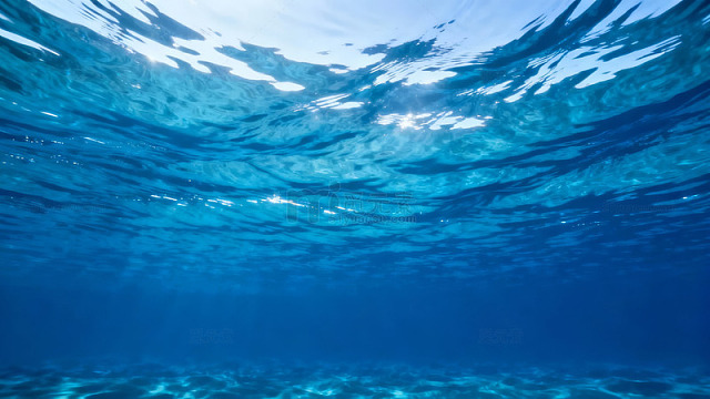 清澈海水下的光影世界