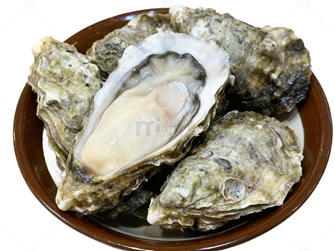 大生蚝海蛎子海鲜