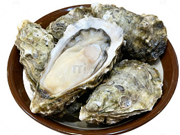 大生蚝海蛎子海鲜