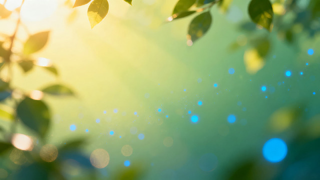 阳光透过绿叶的梦幻光斑
