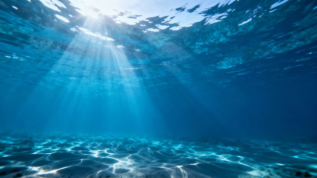 阳光穿透水面的海底景象