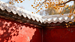 红墙白瓦秋叶景图片