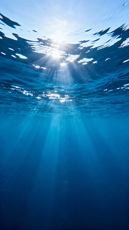 阳光穿透水面的宁静海底景象